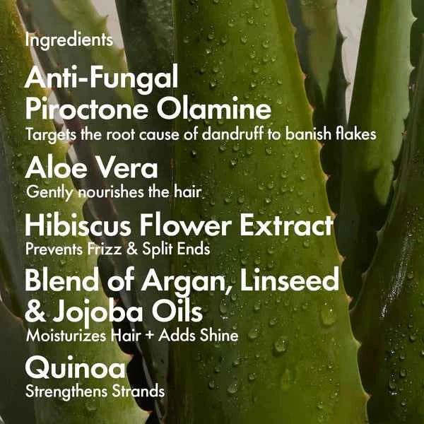 Bondi Boost Dandruff Repair Conditioner