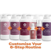 Clever Curl Wash Day, Style & Repair 6-Step Routine