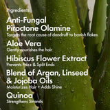 Bondi Boost Dandruff Repair Conditioner