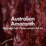 Bondi Boost Thickening Therapy Conditioner