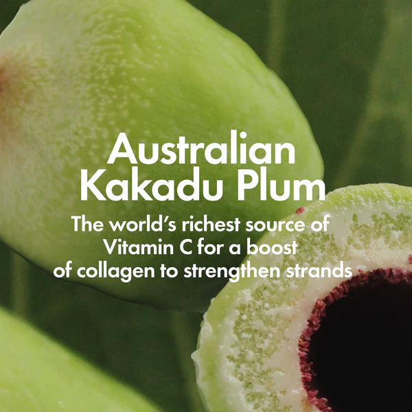 Bondi Boost Anti Frizz Shampoo