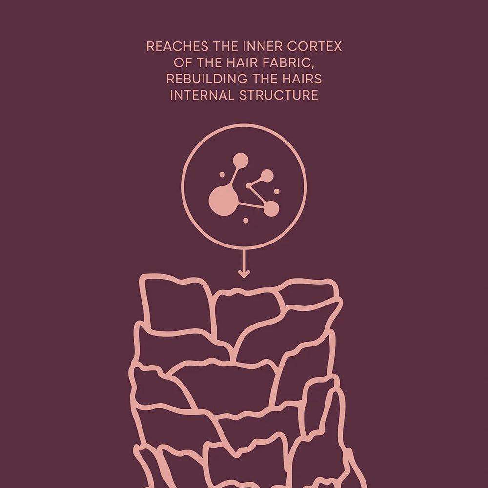 Illustration of hair structure with text on a dark red background