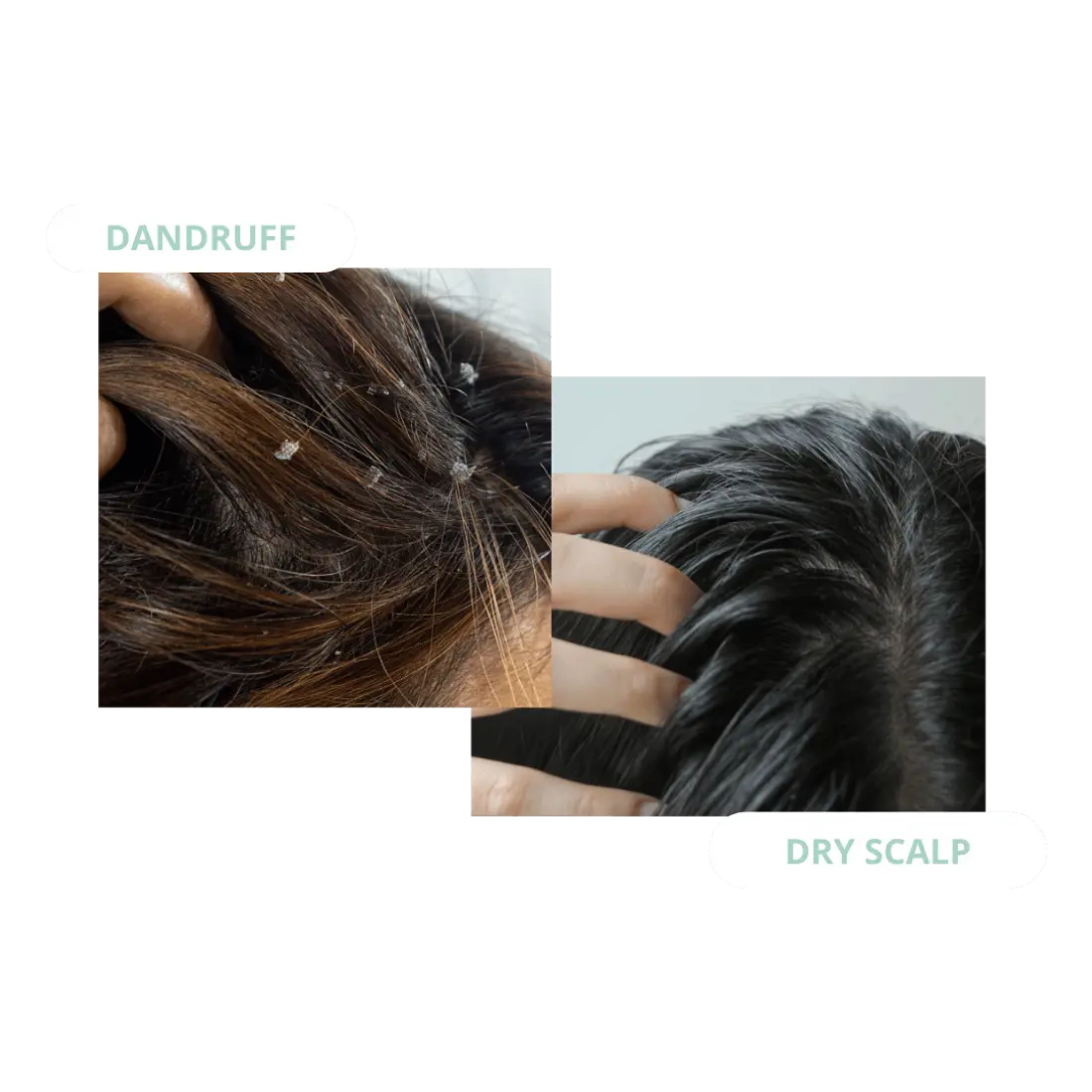 Pump Scalp Tonic Trio