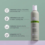 milk_shake Deep Detox Shampoo